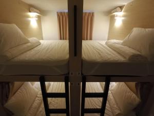 Signel Hostel