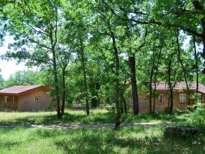 Maisons de vacances Cozy house with covered terrace : photos des chambres