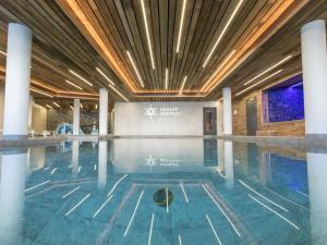 Spacious Chalet in Les Arcs