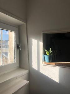 Appartements Esprit cabine : photos des chambres