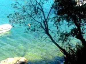 Old istrian house,free parking 