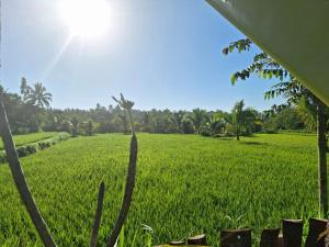 Bunga Maliq Bungalow Lombok