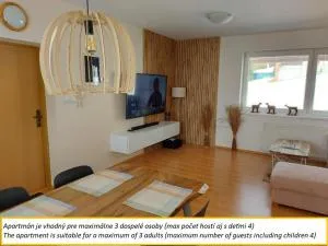 Apartment SKI-BIKE-HIKE, Vyšné Ružbachy - 上鲁日巴希