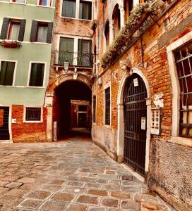 The Wolf House Greysclass