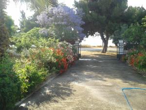 Elea Guesthouse Parnassos Greece