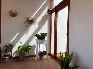 Private villa with pool in the mountains