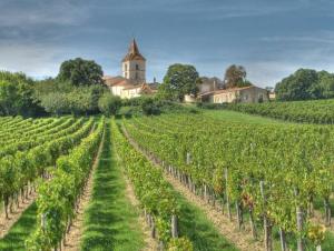 Maisons de vacances La Casa CALM entre vignoble et estuaire : photos des chambres