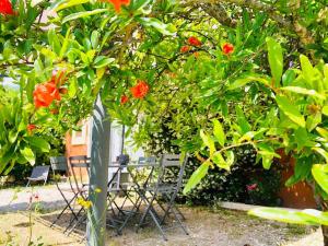 Maisons de vacances La Casa CALM entre vignoble et estuaire : photos des chambres