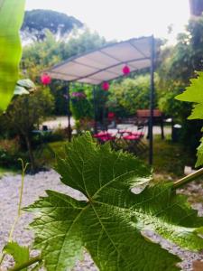 Maisons de vacances La Casa CALM entre vignoble et estuaire : photos des chambres