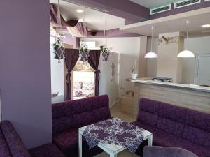 Студио Ариел