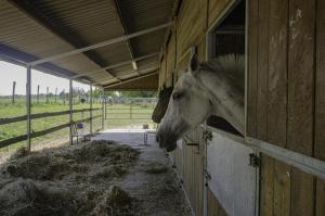 Maisons de vacances La belle des champs : photos des chambres