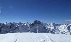 Appartements CHALET LES SEQUOIAS DEUX ALPES : photos des chambres