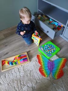 Liisu Külalistemaja