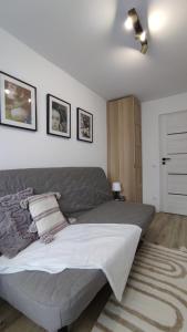 Apartament Opawska 16