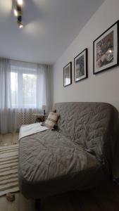 Apartament Opawska