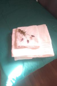 En Concordia, casa estilo industrial con amplio patio a 10 minutos de la plaza principal