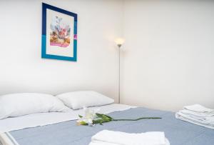 GuestHost - Nest in the City