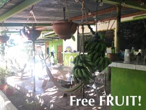 Soursop Hostel