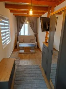 The little White House - Turnişor