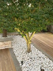 The Bamboo villa - Fraschetti Daniele