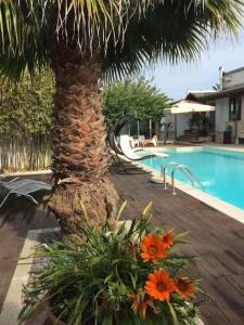 The Bamboo villa - Fraschetti Daniele