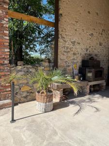 Maisons de vacances Relax in this privately located farmhouse : photos des chambres