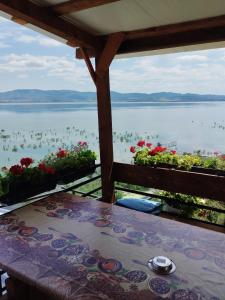 Apartmant Lidija