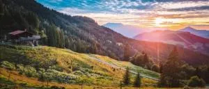 Almhütte Andrea - 奥贝劳