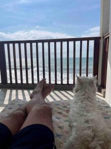 Casa Lunamar para 13 personas