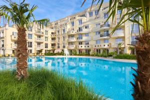 Bellicity Apart Complex