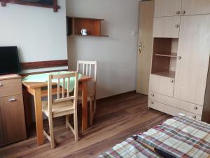 DG EWA w Polańczyku