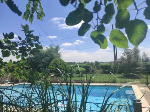 Maisons de vacances L'Escale Lauragaise : photos des chambres