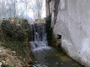 Appartements Ancien moulin a eau en pleine nature : photos des chambres