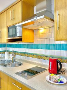 RentalSevilla Tintes