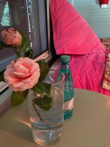 B&B / Chambres d'hotes Apartment and B&B bedroom and Circus Wagon at Mas Pryce : photos des chambres