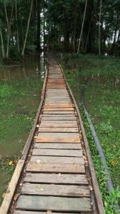 SUITE FLORESTA ILHA Da FANTASIA