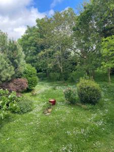 B&B / Chambres d'hotes Ferme de Maillezais : photos des chambres