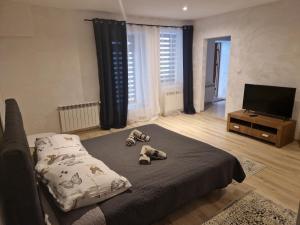 Apartament Baza