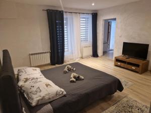 Apartamenty Rynek b7