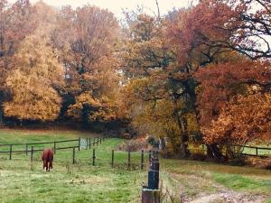 B&B / Chambres d'hotes Le Champ des Possibles : photos des chambres