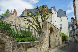 Appartements Appartement de caractere au coeur du vieux Tours : photos des chambres