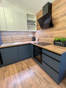 Apartment R&L Lazovná Apt 1 - city centre and free private parking