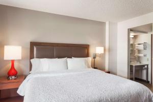 King Suite room in Hampton Inn & Suites Denver-Cherry Creek