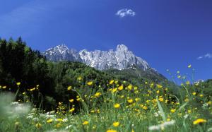 Gästehaus-Pension Bendler
