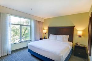 Executive King Suite - Non-Smoking room in Embassy Suites Valencia