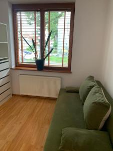 Apartament za ratuszem