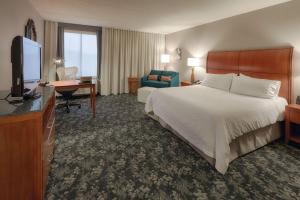 King Room with Whirlpool room in Hilton Garden Inn Cleveland/Twinsburg