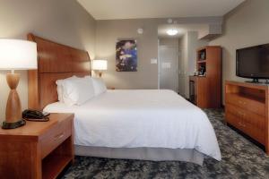 King Room room in Hilton Garden Inn Cleveland/Twinsburg