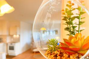 Bernsteinquartier Ferienwohnung Blaues Fenster