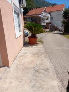 Apartmani Vujovic Markovici 2